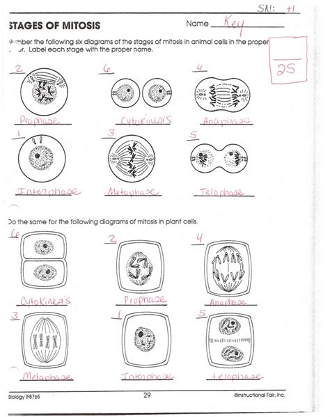 Instructional Fair Inc Worksheets Answers PDF