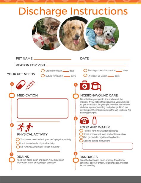 Instructions for Veterinary Clients Canine & Doc