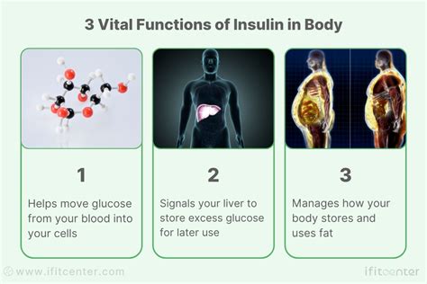 Insulin Functions in the Body: The Ultimate Guide to 2025