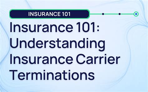 Insurance Carrier 101: Unlocking the Secrets of Your Coverage