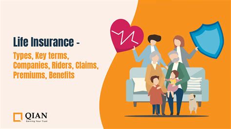 Insurance Companies Life Insurance: 4 Key Insights