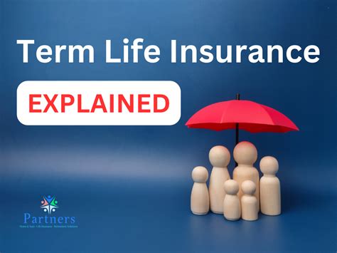 Insurance Life Term 101: Protect Your Future for Less