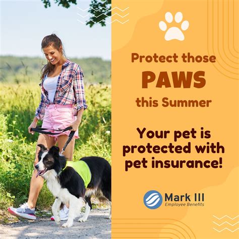 Insurance for Dogs: Protect Your Furry Friends with 3 Critical Benefits