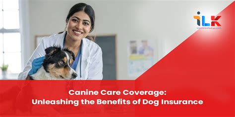 Insurance for Dogs: Unleashing the True Cost of Canine Care