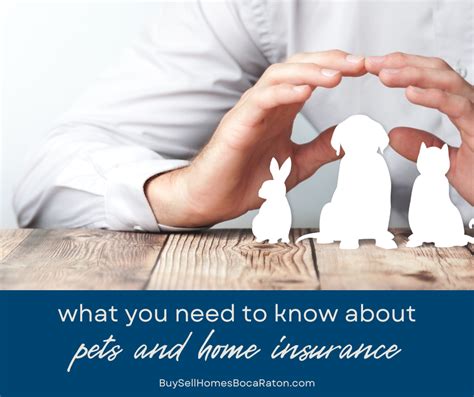 Insurance for Pets: 101 Things You Need to Know