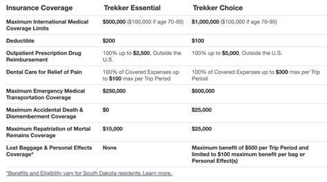 Insurance for Travelers: 4 Essential Coverage Options