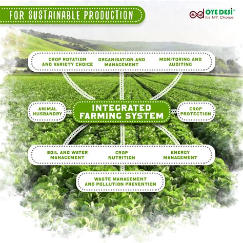 Integrated Farming Systems for Sustainable Production PDF