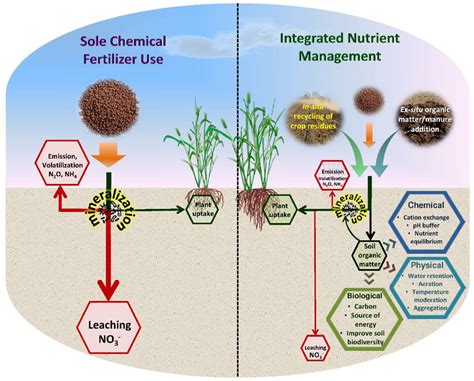 Integrated Nutrient Management in a Sustainable Rice-Wheat Cropping System Reader