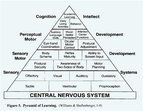 Integrated Sensory System: