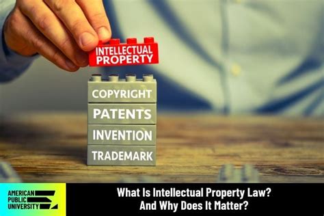 Intellectual Property Law and Policy PDF