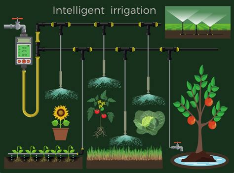 Intelligent Irrigation: