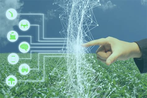 Intelligent Irrigation Fertilizer Machine: Revolutionizing Agriculture with 5G and AI