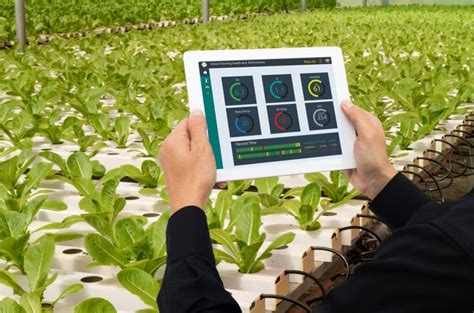 Intelligent Irrigation Fertilizer Machine: Revolutionizing Precision Farming