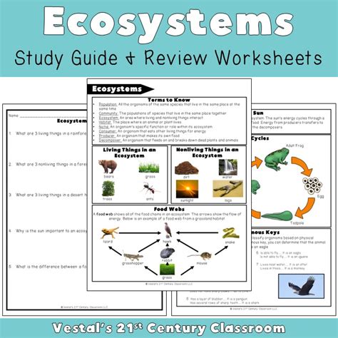 Interactions In Ecosystems Answer Key 5th Grade Doc