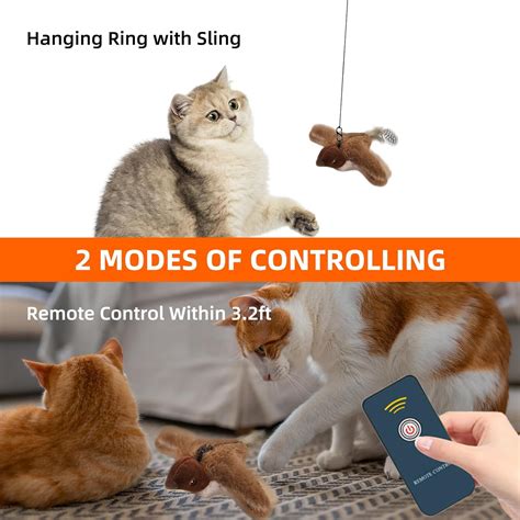 Interactive Bird Cat Toy: A Stimulating and Engaging Playmate for Your Feline Friend