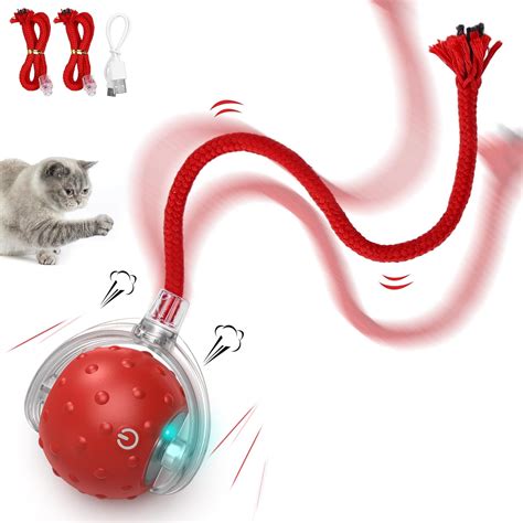 Interactive Cat Toys and Stimulation: 2025 Benchmark VS 2023