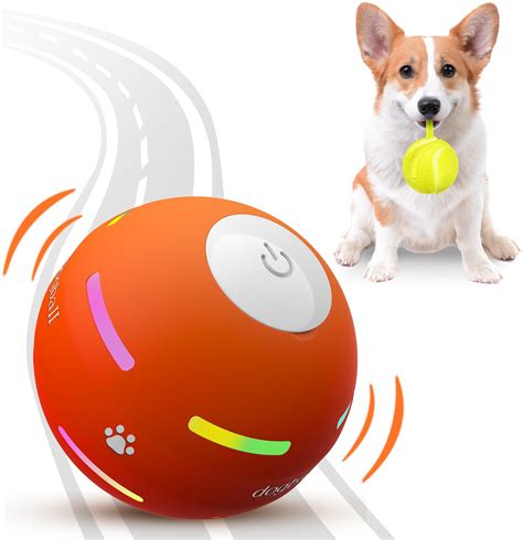 Interactive Dog Toy Durability and Lifespan: A 2025 Showdown