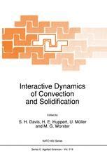 Interactive Dynamics of Convention and Solidification Reader