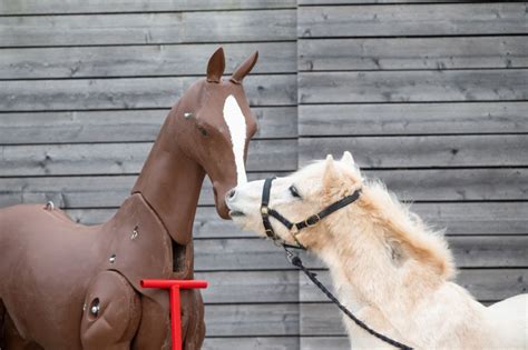 Interactive Horse Mannequins: