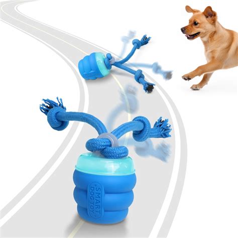 Interactive dog toy durability and lifespan