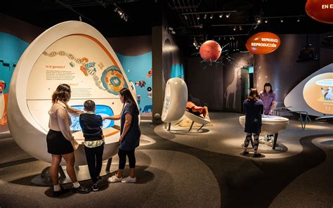 Interactive exhibits: