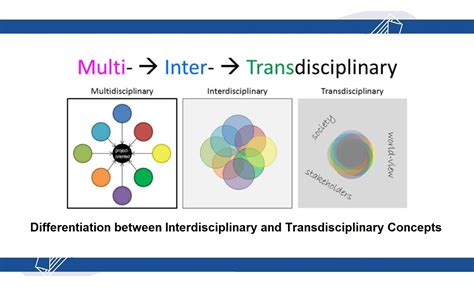 Interdisciplinary vs Multidisciplinary: A Definition