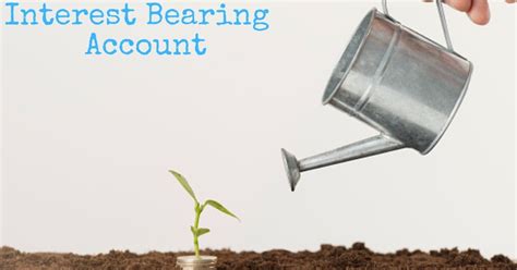 Interest-Bearing Accounts: Everything You Need to Know