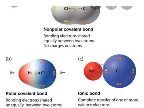 Intermolecular Forces and Polarity