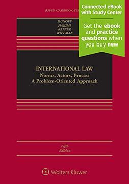 International.Law.Norms.Actors.Process.A.Problem.Oriented.Approach Ebook Reader