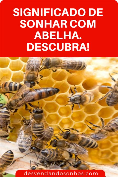 Interpretações Comuns de Sonhos com Abelhas