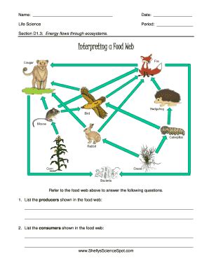 Interpreting A Food Web Answer Epub