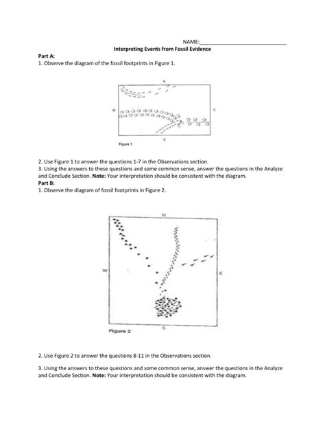 Interpreting Events From Fossil Evidence Answers Epub