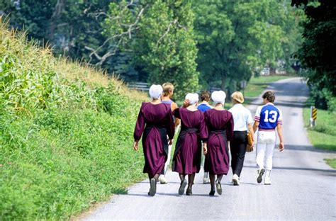 Into the Amish Doc