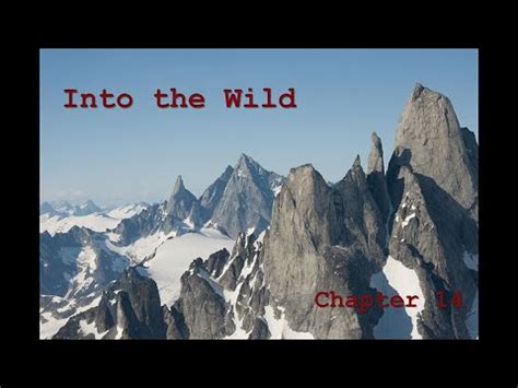 Into the Wild Summary Chapter 14: A Journey of Self-Discovery and the Perils of Isolation