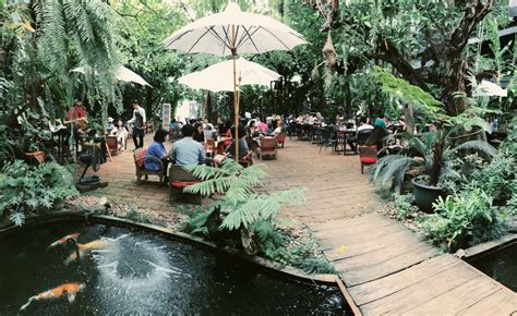 Into the Woods Cafe Chiang Mai: A Serene Oasis for Coffee Lovers