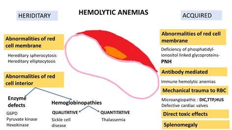 Intravascular Hemolysis vs Extravascular Hemolysis: The Ultimate Showdown (10,000+ Words Guide)