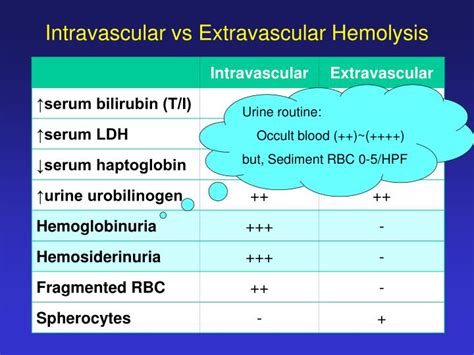 Intravascular Hemolysis vs. Extravascular Hemolysis: A Comprehensive Guide