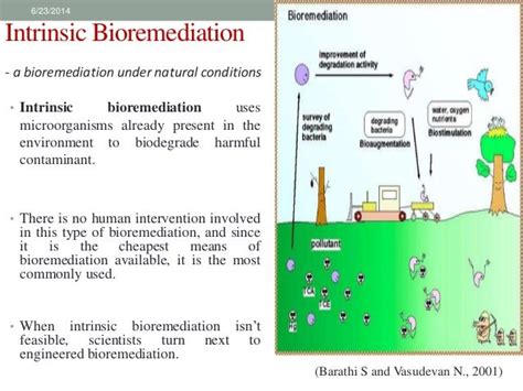 Intrinsic Bioremediation PDF