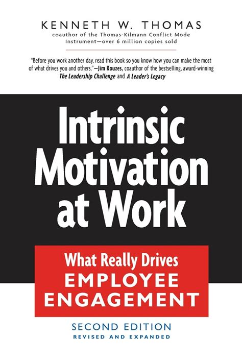 Intrinsic Motivation at Work What Really Drives Employee Engagement Reader