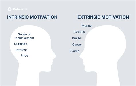 Intrinsic and Extrinsic Motivation