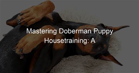 Introducing Cora Doberman Studio: A Comprehensive Guide to the Art and Science of Dog Training