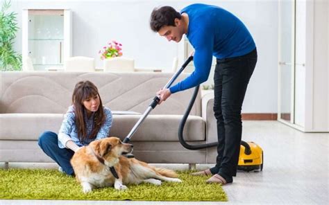 Introducing the Flowbee for Dogs: A Revolutionary Way to Groom Your Furry Friend