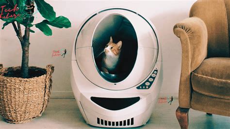 Introducing the Revolutionary Litter Robot