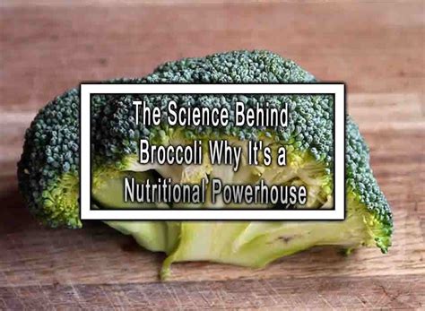 Introduction: Broccoli's Nutritional Powerhouse