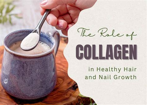 Introduction: Collagen's Vital Role in Nail Health