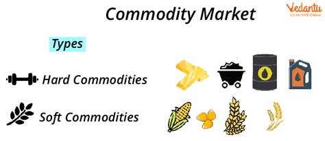 Introduction: Delving into the Porcine Commodity Market