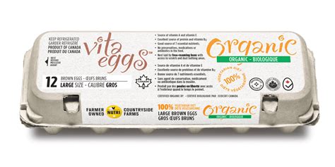 Introduction: Discover the Power of Vita Eggs