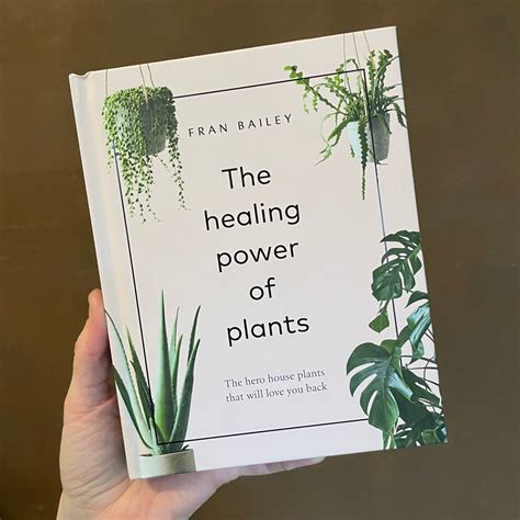 Introduction: Discovering the Healing Power of Plants