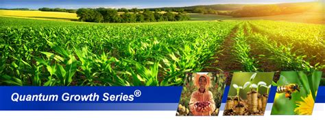 Introduction: Embark on the Journey to Enhanced Crop Yields