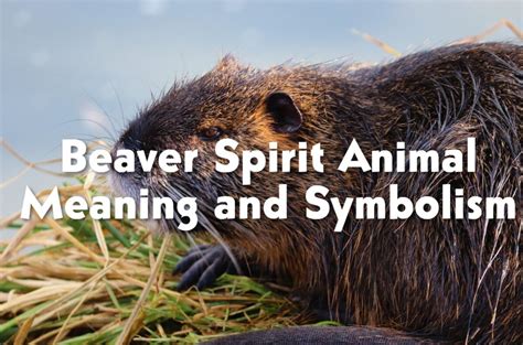 Introduction: Embrace the Beaver State Spirit